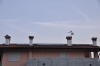 Appartamenti - Dro (TN)